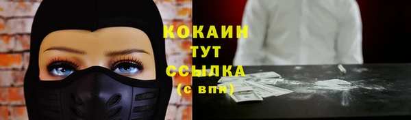 a pvp Алзамай