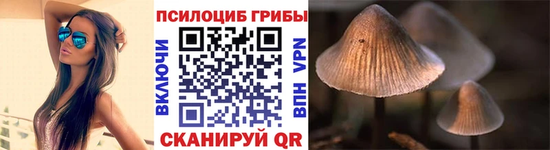 Галлюциногенные грибы Magic Shrooms  Йошкар-Ола 